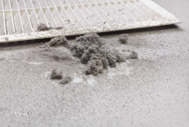 Best Air Duct Cleaning Company Near Me  in Brockport, NY