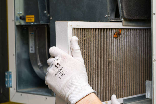 Best HVAC Maintenance and Cleaning  in Brockport, NY